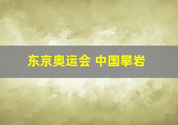 东京奥运会 中国攀岩